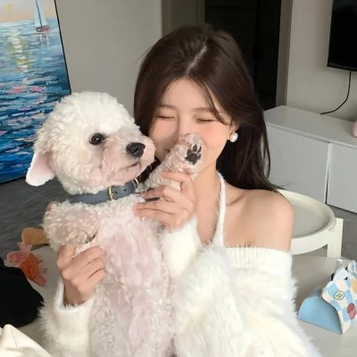 蝉翼